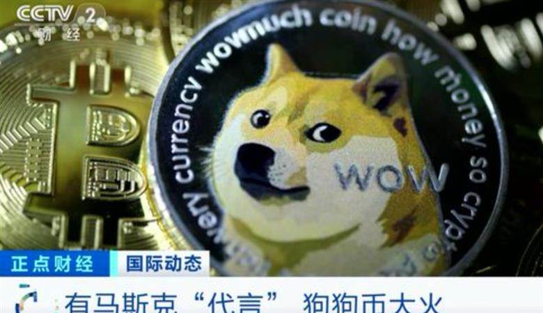 存狗狗币的钱包_狗狗币怎么存入tp钱包_狗狗币钱包dogecoin