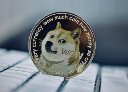 tp钱包 dogecoin_钱包英语_钱包怎么折