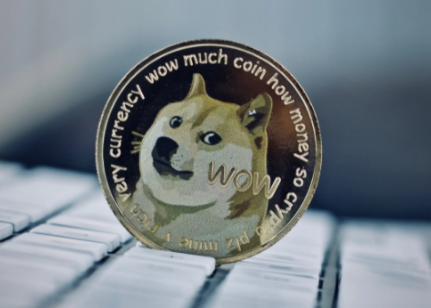 狗狗币可以存tp钱包吗_存狗狗币的钱包_tp钱包可以存狗狗币吗