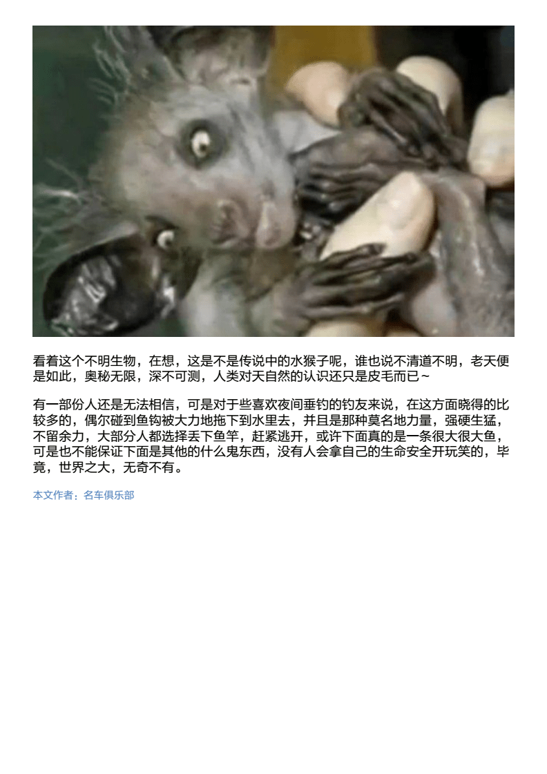 钱包的客服电话是多少_tp钱包客服怎么找_tp钱包的客服在哪里找