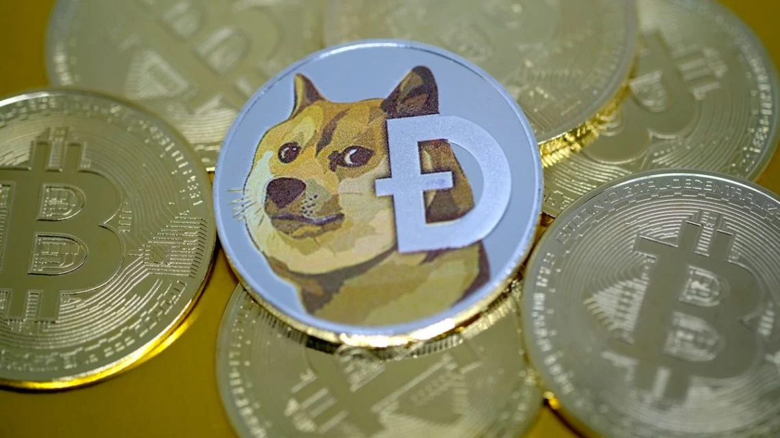 狗狗币钱包dogecoin_tp钱包支持狗狗币吗_狗狗币提tp钱包选哪个链