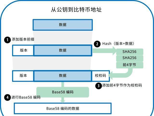 tp钱包支持多币种转账