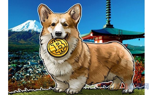 狗狗币tp钱包_狗狗币钱包dogecoin_tp钱包支持狗狗币吗