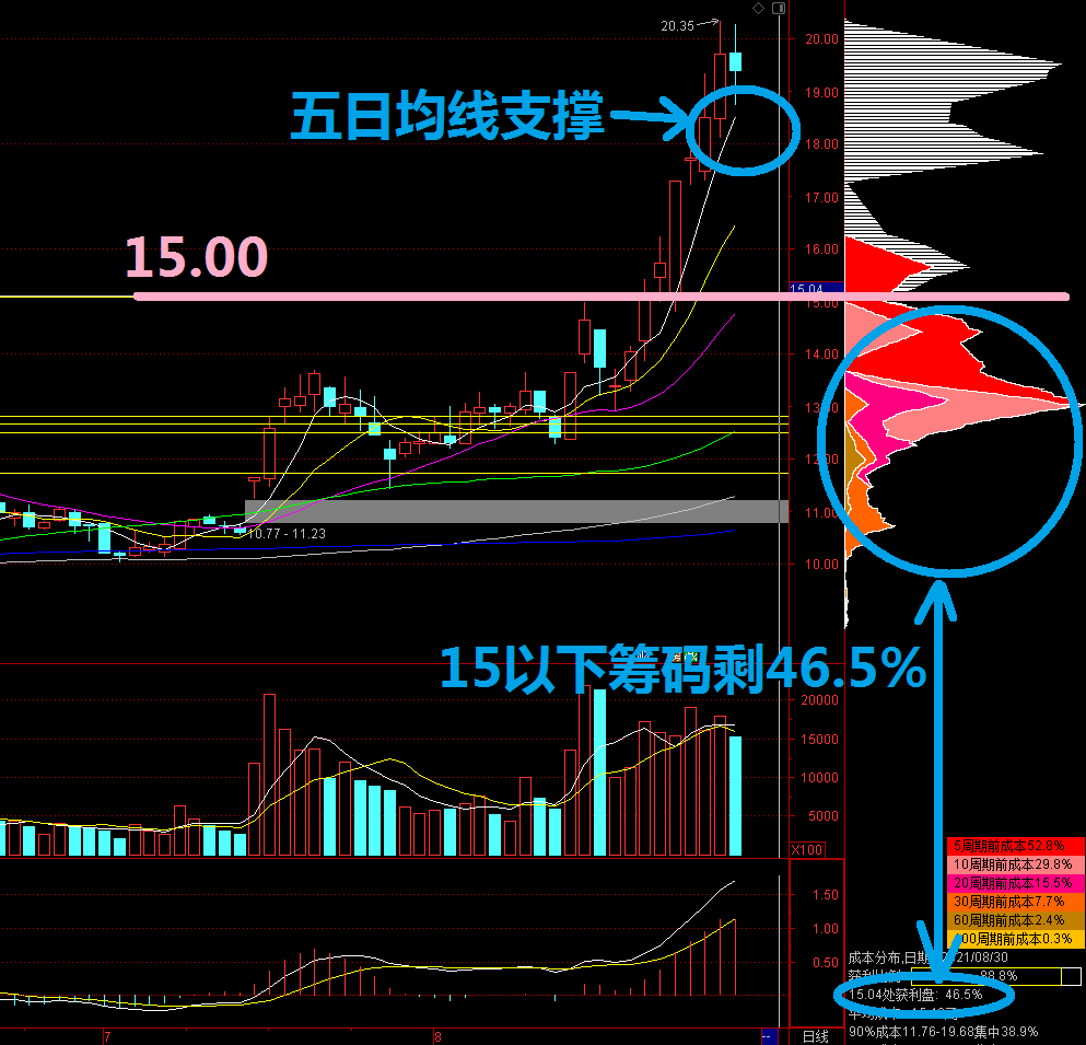 钱包图_钱包tp_tp钱包怎么下载k线图