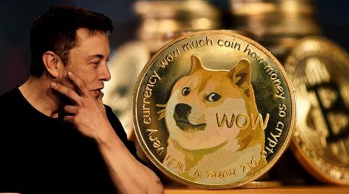 狗狗币钱包安装教程_狗狗币 tp钱包_狗币钱包app
