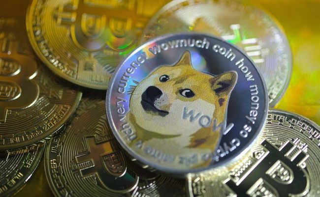 狗狗币 tp钱包_狗狗币钱包安装教程_狗币钱包app
