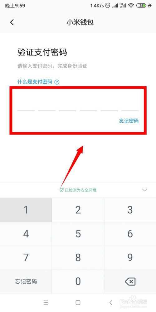 钱包忘记支付密码怎么办_tp钱包支付密码忘记_钱包的密码