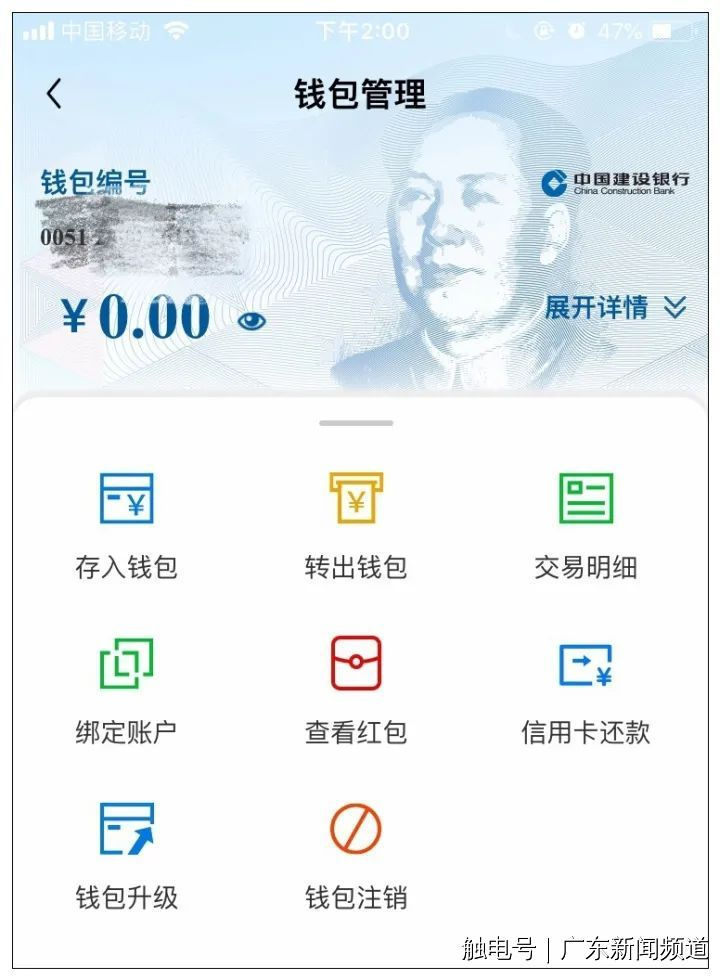 人民币资产包括哪些_钱包货币啥意思_tp钱包资产显示人民币