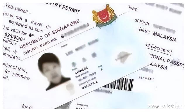 tp钱包创始人付盼那个国籍_盼盼钱包_国籍人道法