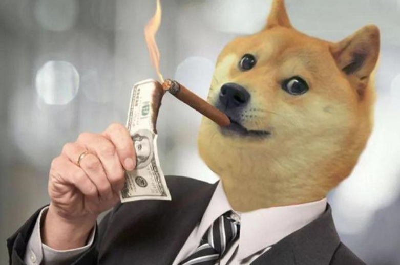 狗狗币提到tp钱包_狗狗币钱包怎么提币_钱包狗狗币
