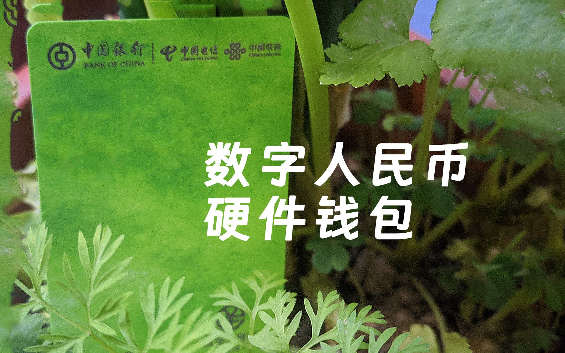 tp钱包狗币_狗币tp钱包_狗币钱包手机版下载