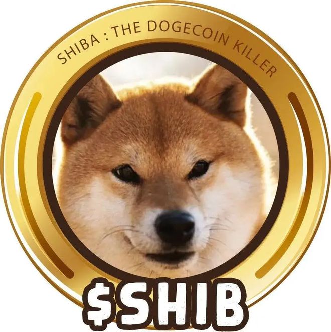 狗狗币钱包dogecoin_tp钱包不支持狗狗币_狗狗币提tp钱包选哪个链