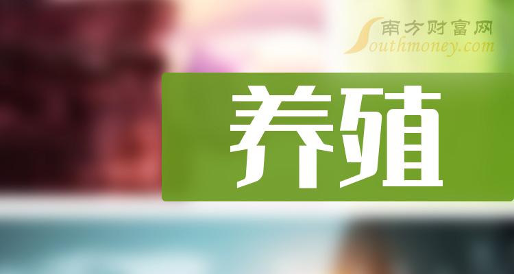 tp钱包如何看k线_可以看k线的钱包_钱包怎么看k线