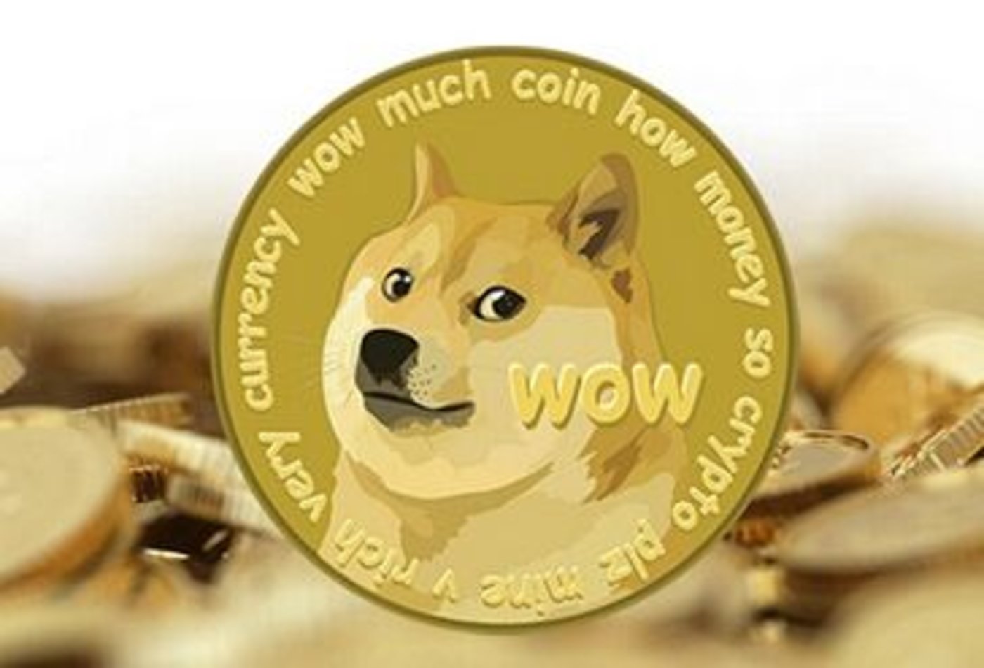 tp钱包doge_钱包怎么折_doge