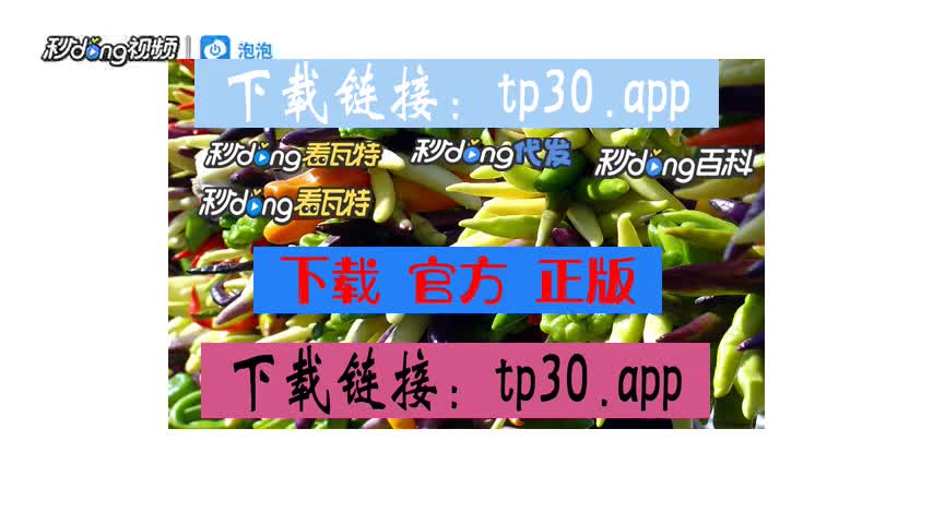 tp钱包电脑版怎么添加bsc_xcash电脑钱包_钱包添加桌面