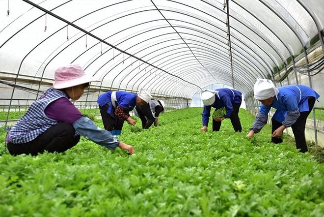钱包客户电话是多少_tp钱包客服联系不上_钱包金服客服人工服务