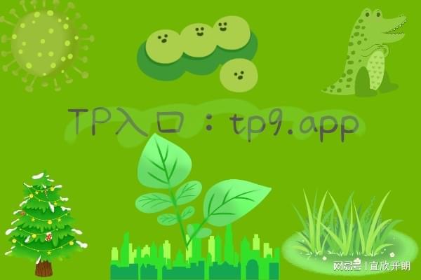 tp钱包导入钱包怎么没有币-TP 钱包导入后币未显示，客服协