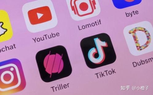 tp钱包怎么购买新币_币钱包怎么使用交易_钱包币是啥