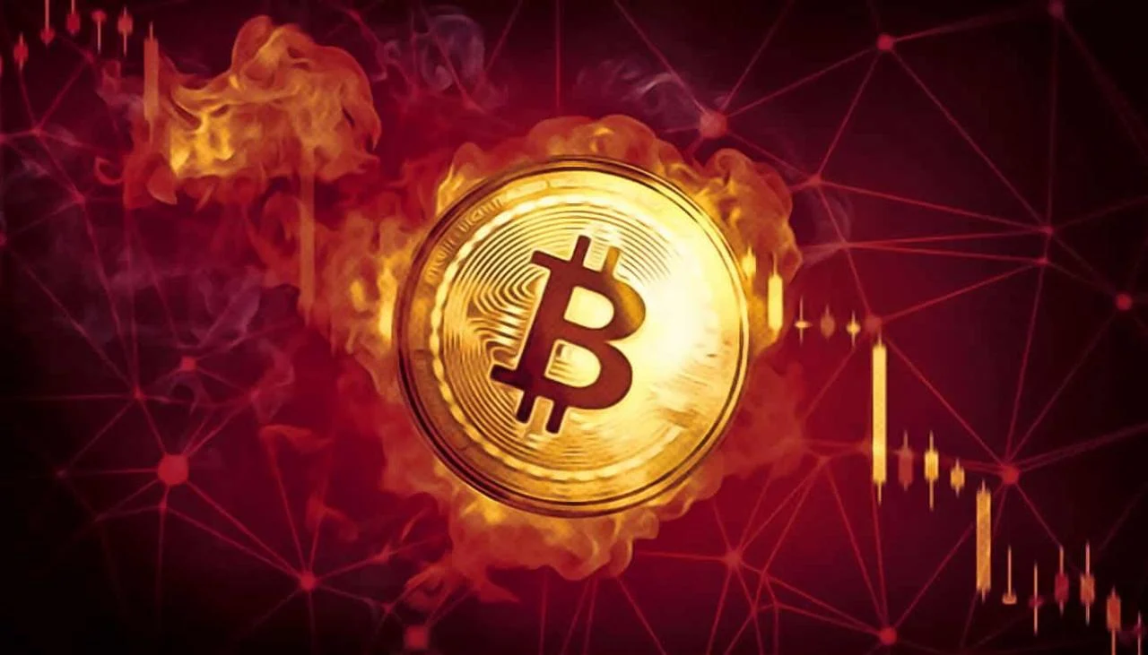 tp钱包和火币钱包哪个好_币钱包安全吗_币的钱包有什么用处