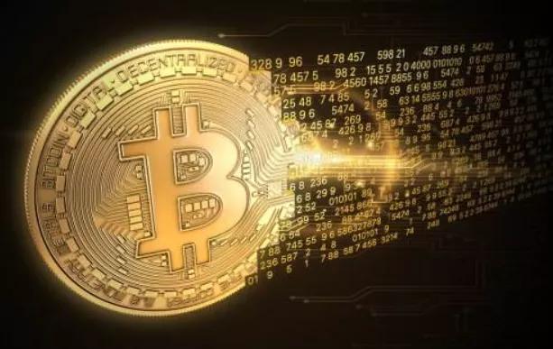 tp钱包添加代币不显示_trust钱包添加代币_代币钱包