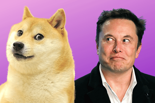 钱包提到交易所需要多久_doge提到tp钱包_钱包提到交易所怎么提