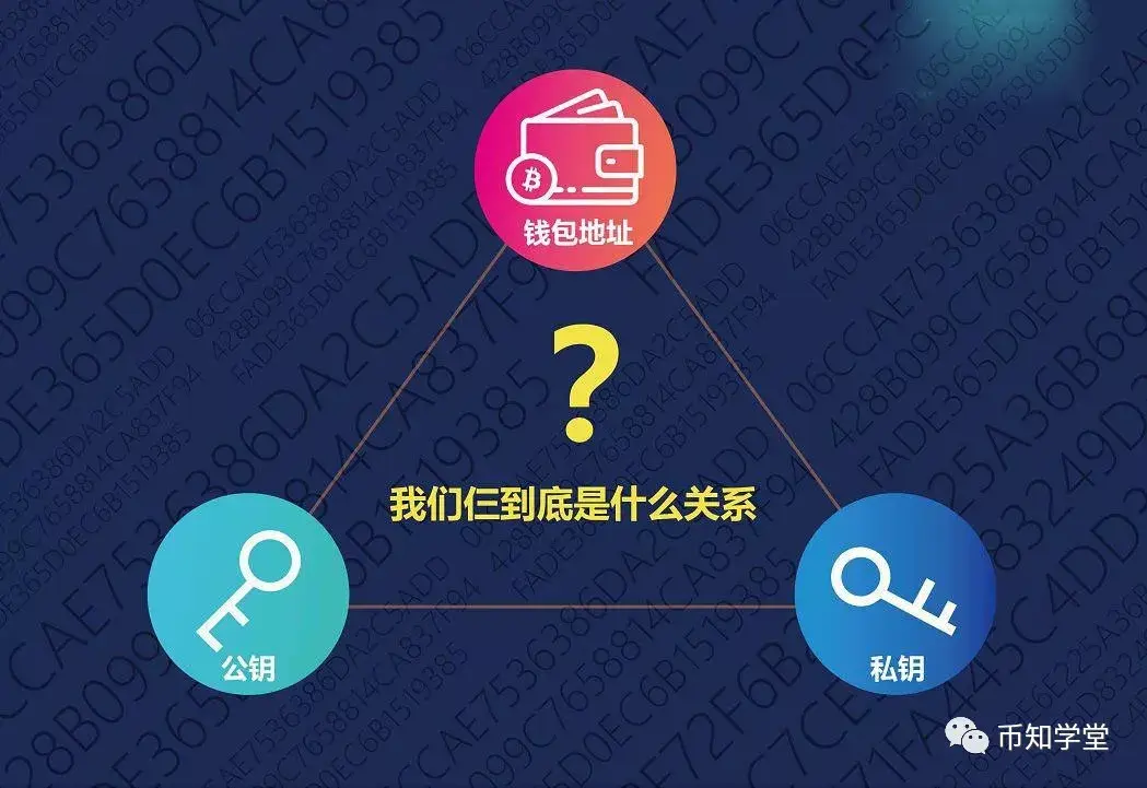 钱包密钥是什么意思_tp钱包密钥是什么_钱包密钥是怎么生成的
