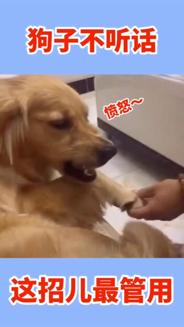 观察钱包怎么看_tp钱包如何用观察钱包_观察钱包和普通钱包的区别