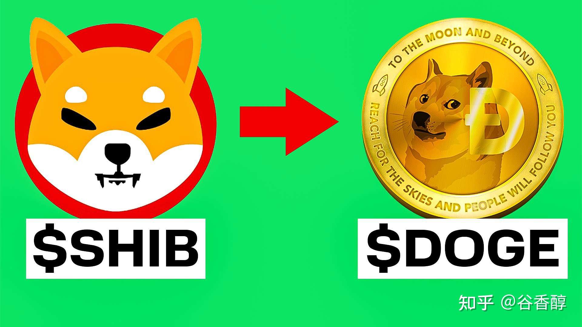 tp钱包doge-TP 钱包与 Doge 币：我的数字生活因