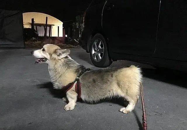 钱包提现是什么意思_提到tp钱包要多久_钱包提现多久到账