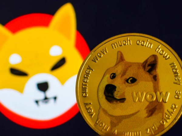 狗狗币怎么存入tp钱包_狗狗币钱包dogecoin_狗狗币如何存入钱包