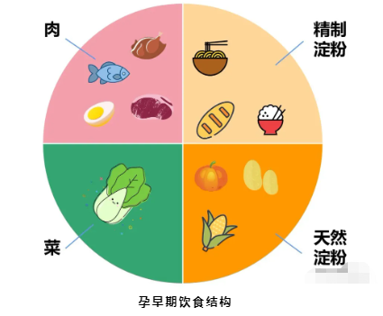 猫猫币钱包_猫钱包app_tp钱包怎么买猫币