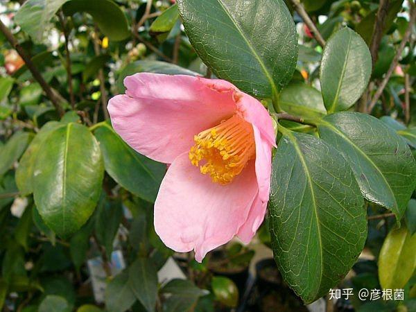 tp钱包找不到_tp钱包没有bnb怎么办_tp钱包没有发现