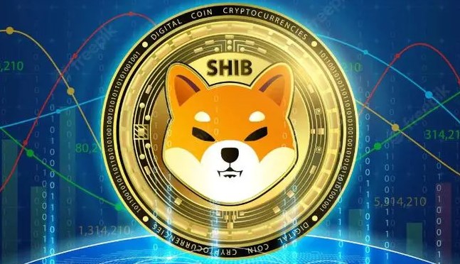 钱包到交易所如何转化_币钱包怎么使用交易_tp钱包转币安交易所