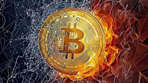 钱包是哪个支付公司的_钱包是白色的好不好_什么是tp钱包和IM钱包