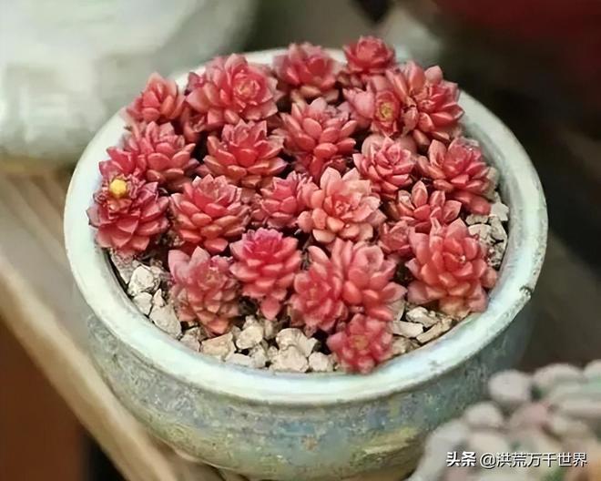 tp钱包联系电话_钱包客户电话是多少_钱包联系电话卡片