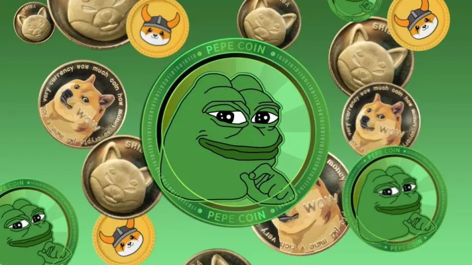 狗币提到tp钱包_狗币提取怎么没到钱包_狗狗币提到钱包
