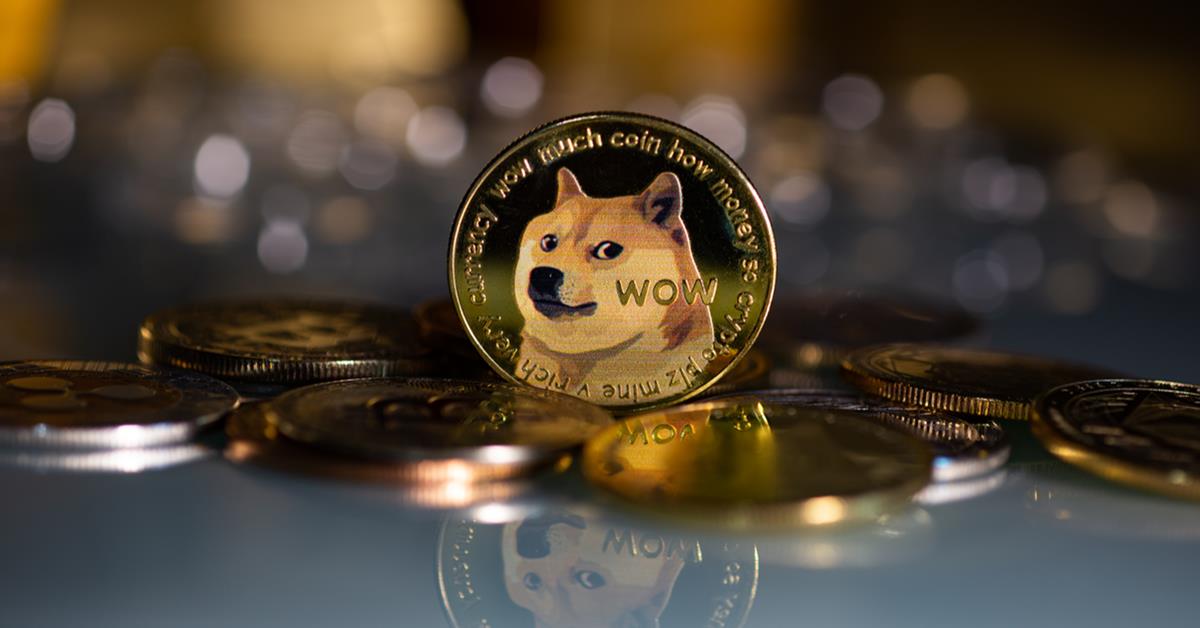 狗狗币怎么提到tp钱包_钱包狗狗币_狗狗币钱包dogecoin