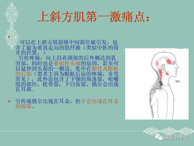 钱包的安全性_钱包模型_tp钱包不安全性怎么样