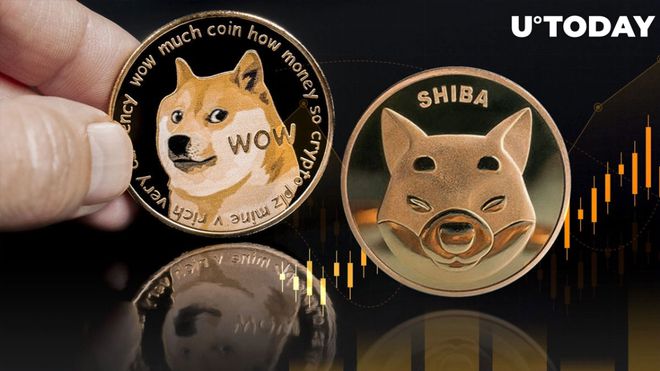 存狗狗币的钱包_狗狗币如何存入钱包_tp钱包可以存狗狗币吗