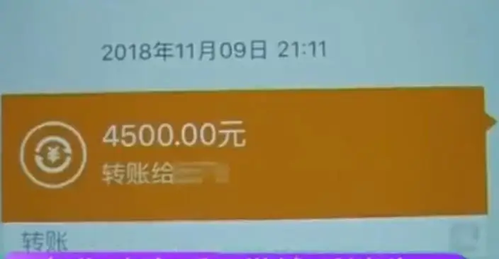tp钱包操作没有记录币也没有了_比特币qt钱包发币地址_莱特币钱包下载