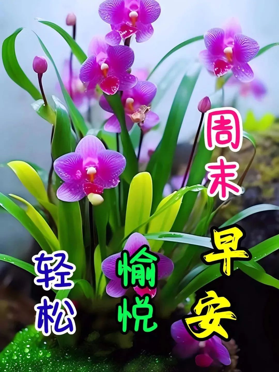 TP钱包图片_钱包图片卡通_钱包图片头像大全
