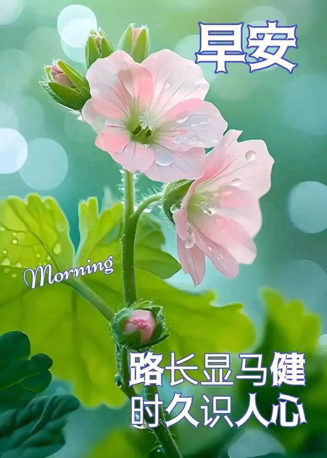 钱包图片卡通_TP钱包图片_钱包图片头像大全