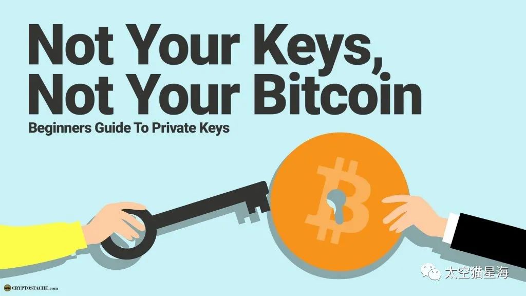 tp非法助记词_tp钱包助记词输入显示非法_tp钱包非法助记词