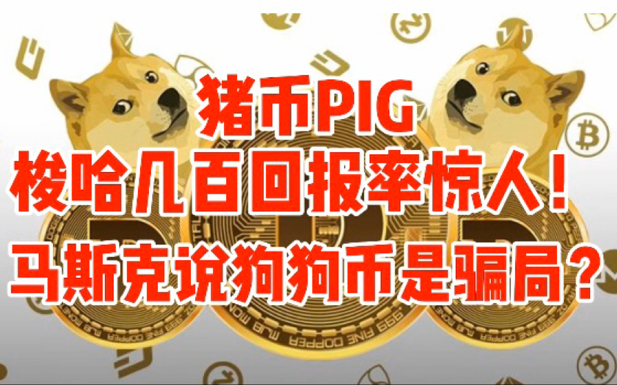 狗币tp钱包_狗币钱包手机版下载_tp钱包狗币