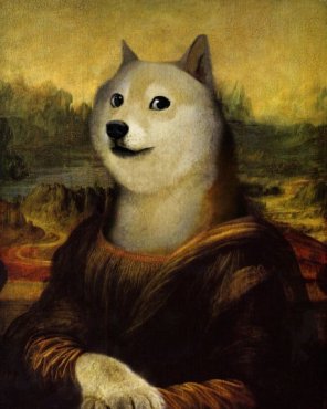 钱包英语_tp钱包doge_钱包怎么折