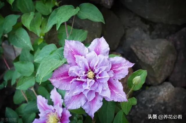 tp钱包电脑版怎么用_tp钱包网页版_pc钱包