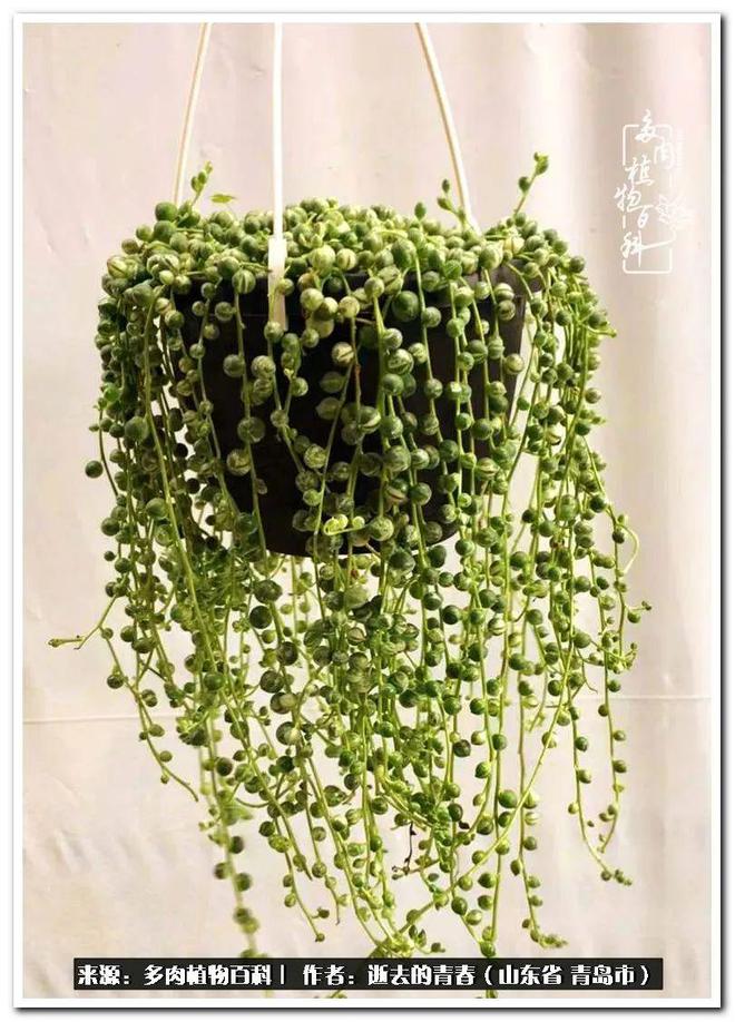 tp钱包的币直接被转走了_钱包币怎么转到交易所_钱包转币一定要手续费吗