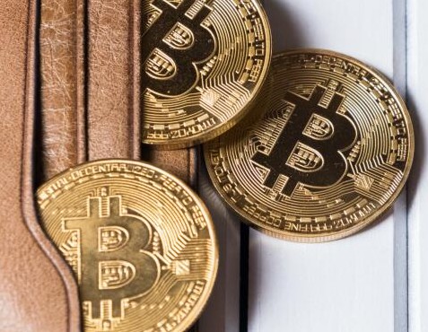 钱包类似词语_类似tp钱包_钱包类似发霉怎么处理