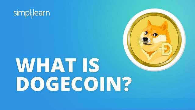 钱包app门禁卡_钱包怎么折_tp钱包 doge
