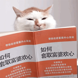 TP钱包狗狗币合约地址_狗狗币合约地址查询_heco狗狗币合约地址